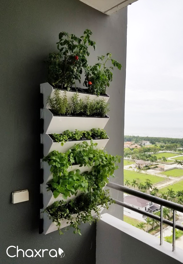 green wall vertical garden jardin cultivo