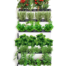 green wall vertical garden jardin cultivo
