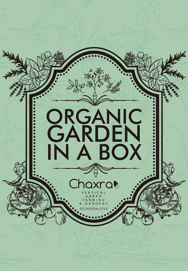 gift box green huerto organico