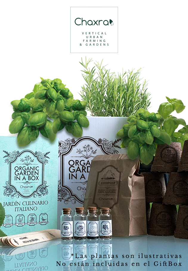 gift box green huerto organico