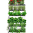 green wall vertical garden jardin cultivo
